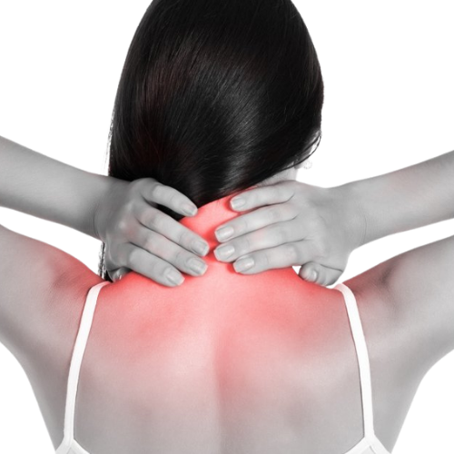 Neck Balance 2.0