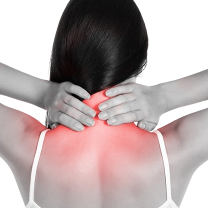 Neck Balance 2.0